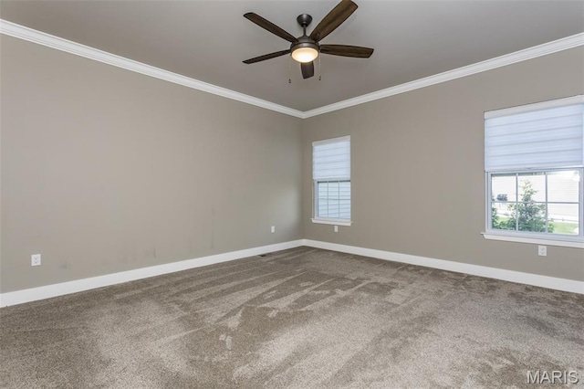 804 Green Jacket, Ofallon, IL 62269 - photo 44