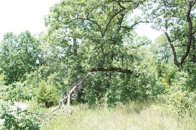 11 Deer Hollow Ln, Lake Ozark, MO 65065