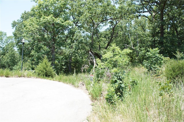 11 Deer Hollow Ln, Lake Ozark, MO 65065