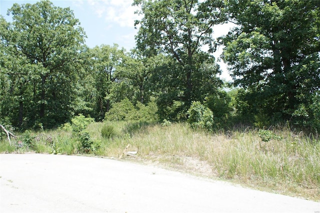 11 Deer Hollow Ln, Lake Ozark, MO 65065
