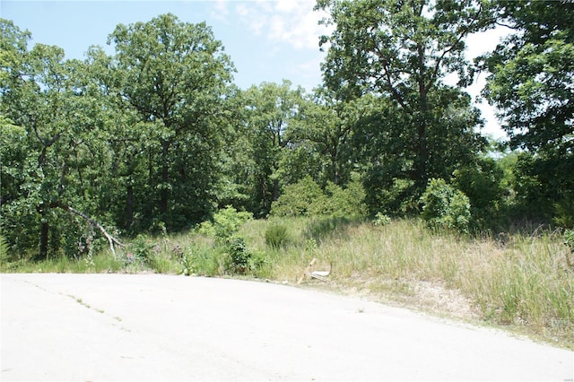 11 Deer Hollow Ln, Lake Ozark, MO 65065