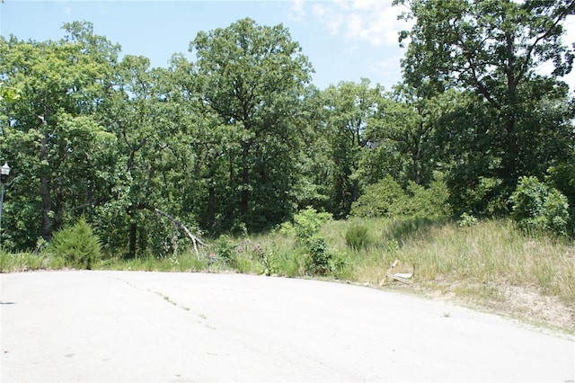 11 Deer Hollow Ln, Lake Ozark, MO 65065