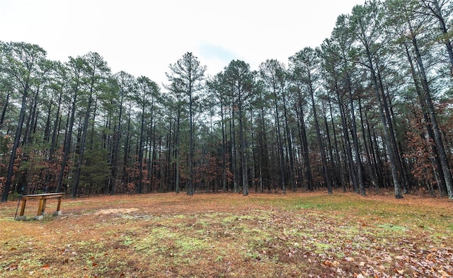 view of wooded area