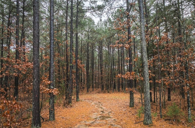 view of wooded area