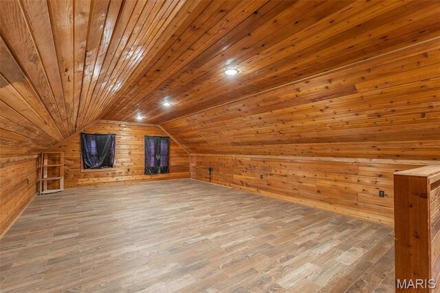 14178 E US Highway 60, Van Buren, MO 63965 - additional living space featuring wood walls, wood ceiling, wood finished floors, and lofted ceiling