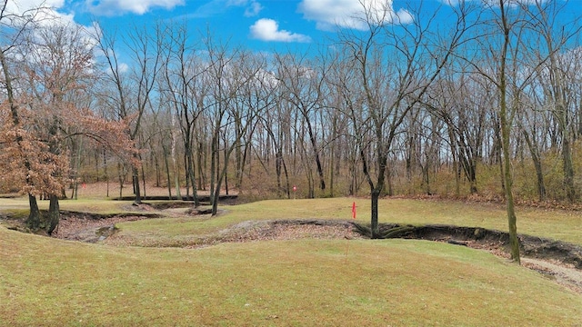 7467 Walshville Trl, Hillsboro, IL 62049 - view of green lawn