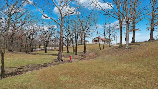 7467 Walshville Trl, Hillsboro, IL 62049 - view of yard with an outbuilding and a pole building