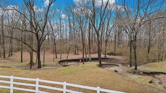 7467 Walshville Trl, Hillsboro, IL 62049 - view of yard