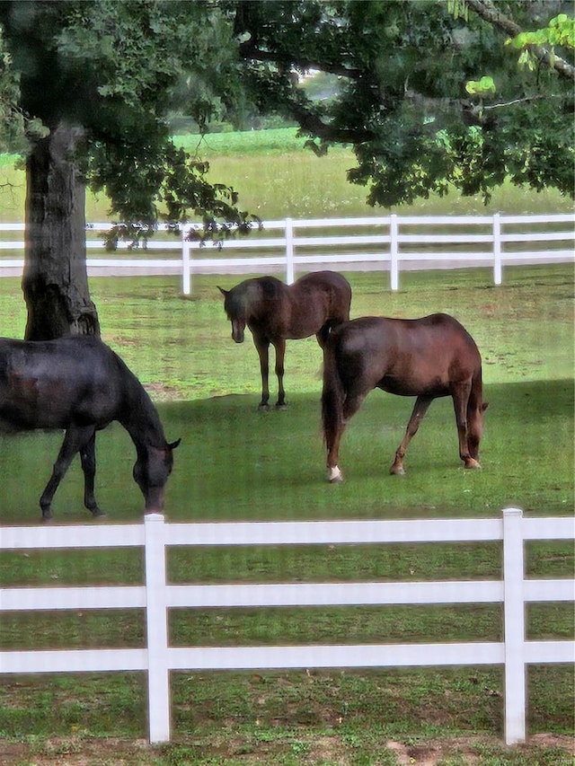 7467 Walshville Trl, Hillsboro, IL 62049 - view of horse barn
