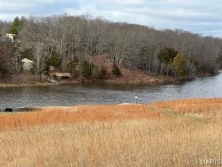 7 Kirsten Ln, Rhineland, MO 65069 - photo 5