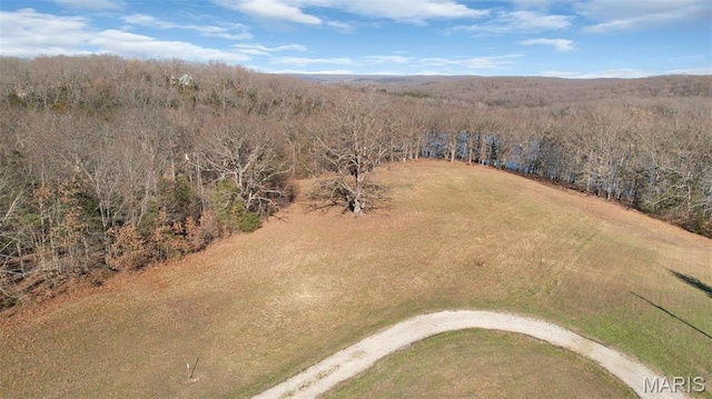7 Kirsten Ln, Rhineland, MO 65069 - photo 6