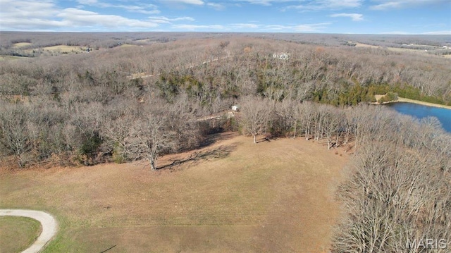 7 Kirsten Ln, Rhineland, MO 65069 - photo 9