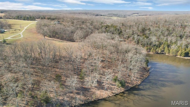 7 Kirsten Ln, Rhineland, MO 65069 - photo 10