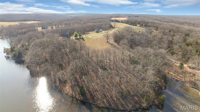 7 Kirsten Ln, Rhineland, MO 65069 - photo 11
