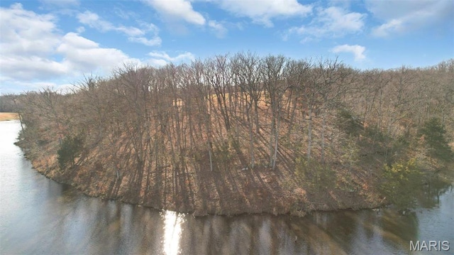 7 Kirsten Ln, Rhineland, MO 65069 - photo 14