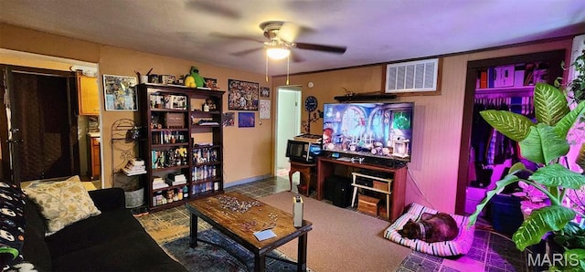300 S Oak St, Salem, MO 65560 - living room featuring ceiling fan