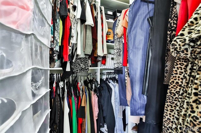 915 Sugar Lake Ct Unit 4, Saint Peters, MO 63376 - view of spacious closet