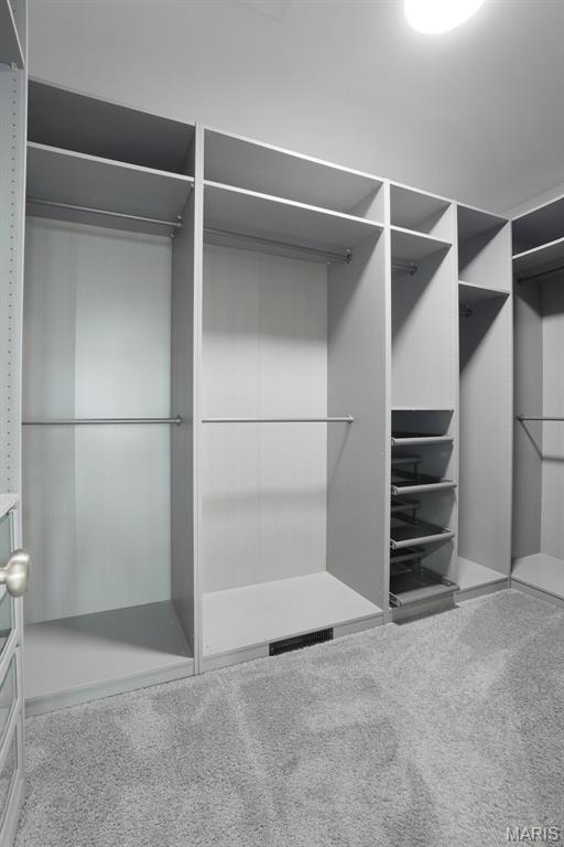 215 Wyndemere Ln, Lake St Louis, MO 63367 - spacious closet with carpet