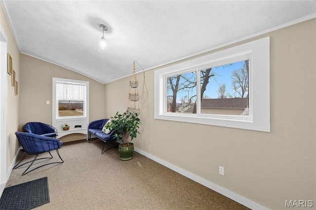 16683 Mill Rd, Marthasville, MO 63357 - sitting room with carpet floors and vaulted ceiling