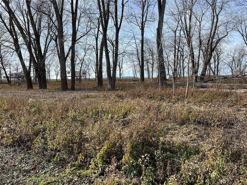 73 S River Rd, Elsberry, MO 63343