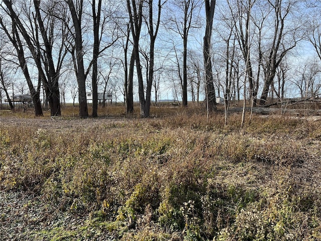 73 S River Rd, Elsberry, MO 63343