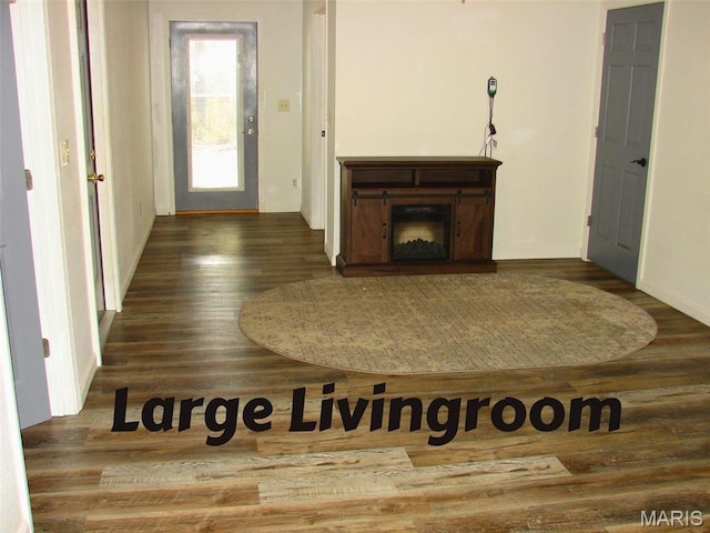715 W Broadway, Sparta, IL 62288 - living room featuring wood finished floors and a fireplace