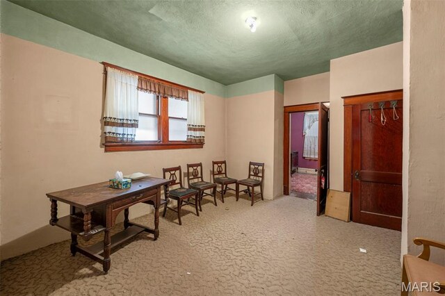 3420 Alberta St, Saint Louis, MO 63118 - photo 17