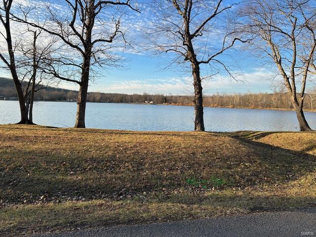 731 Buffalo Dr, Bismarck, MO 63624 - water view