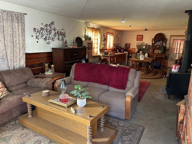 731 Buffalo Dr, Bismarck, MO 63624 - living area with a wood stove and a textured ceiling