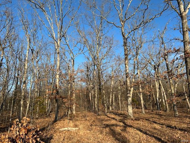 731 Buffalo Dr, Bismarck, MO 63624 - view of tree filled area