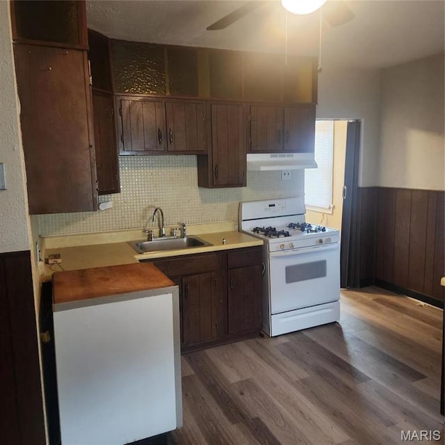 7120 Bancroft Ave, Saint Louis, MO 63109 - kitchen with white gas range, a sink, under cabinet range hood, dark wood finished floors, and a wainscoted wall
