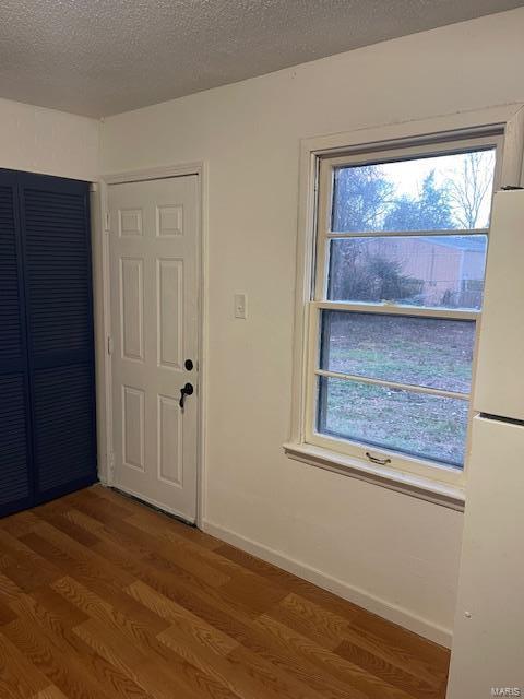 entrance foyer featuring wood finished floors, plenty of natural light, a textured ceiling, and baseboards