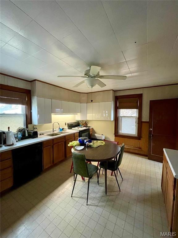 101 Cass St, Waterloo, IL 62298 - dining area with healthy amount of natural light and a ceiling fan