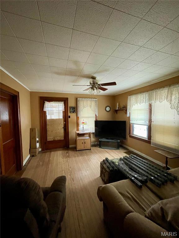 101 Cass St, Waterloo, IL 62298 - living area with baseboards, light wood-style floors, healthy amount of natural light, and ornamental molding