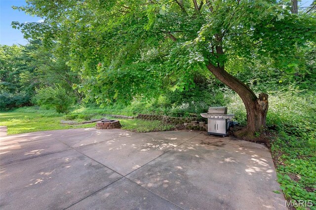 2233 Kehrsglen Ct, Chesterfield, MO 63005 - photo 81