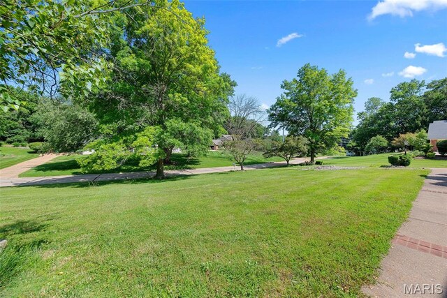 2233 Kehrsglen Ct, Chesterfield, MO 63005 - photo 86
