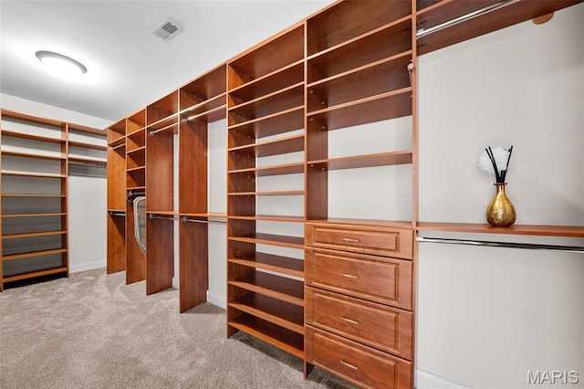 244 US Dr, Wentzville, MO 63385 - walk in closet with carpet floors