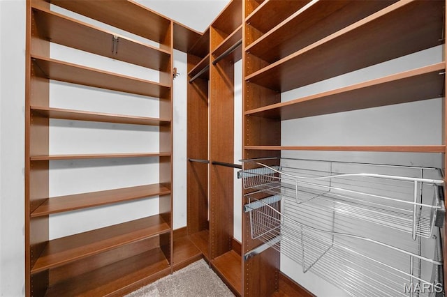 244 US Dr, Wentzville, MO 63385 - view of walk in closet