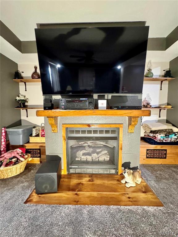 301 W Summer St, Monroe City, MO 63456 - detailed view of carpet floors