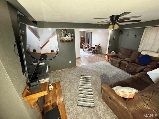 301 W Summer St, Monroe City, MO 63456 - carpeted living area with ceiling fan and wood finished floors