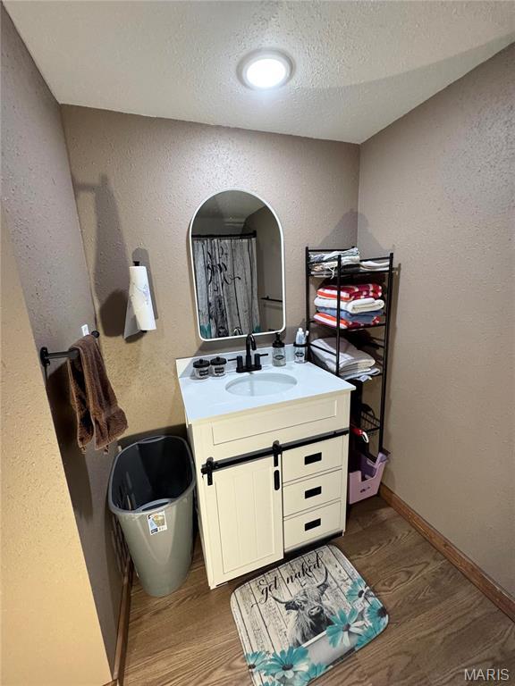 301 W Summer St, Monroe City, MO 63456 - bathroom with wood finished floors, vanity, a textured ceiling, a textured wall, and baseboards