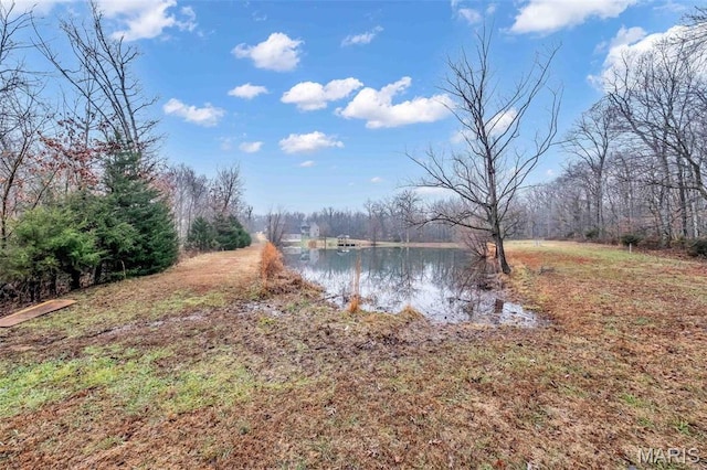 2942 Eagle Pointe Dr, Wentzville, MO 63385 - water view
