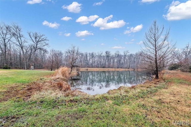 2942 Eagle Pointe Dr, Wentzville, MO 63385 - water view featuring a heavily wooded area