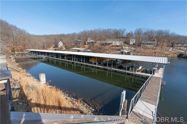 dock area with a water view