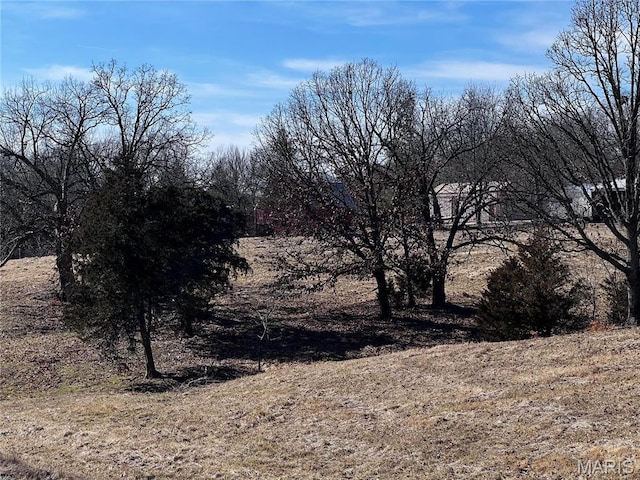901 Edgemont Blvd, Perryville, MO 63775 - view of undeveloped land