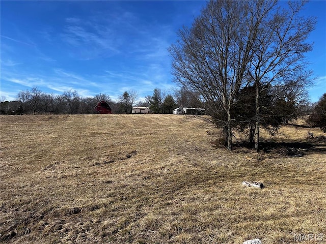 901 Edgemont Blvd, Perryville, MO 63775 - view of yard