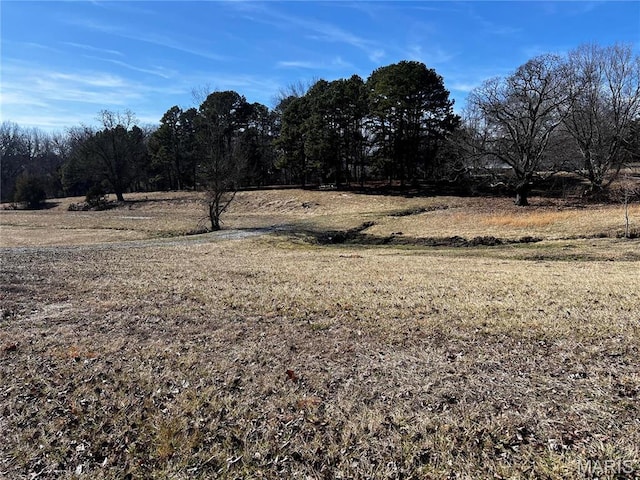 901 Edgemont Blvd, Perryville, MO 63775 - view of local wilderness featuring rural landscape