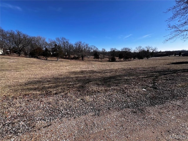 901 Edgemont Blvd, Perryville, MO 63775 - view of yard with a view of rural / pastoral area