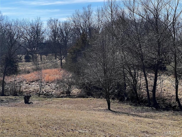 901 Edgemont Blvd, Perryville, MO 63775 - view of yard