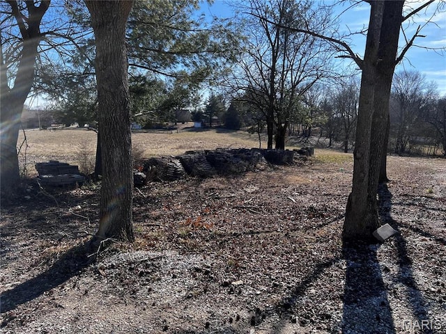 901 Edgemont Blvd, Perryville, MO 63775 - view of yard